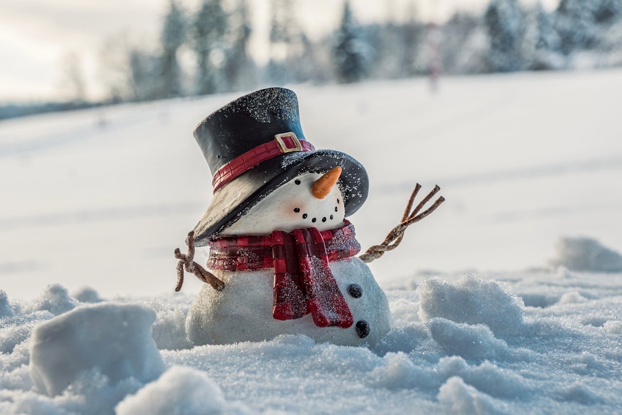 Giáng sinh, người tuyết, dễ thương, trang trí, christmas, snowman, cute, decoration - Susanne Jutzeler, suju-foto 2