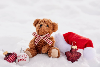 Giáng sinh, gấu bông, tuyết, trái châu, dễ thương, trang trí, Christmas, teddy bear, snow, ball, cute, decoration - Susanne Jutzeler, suju-foto