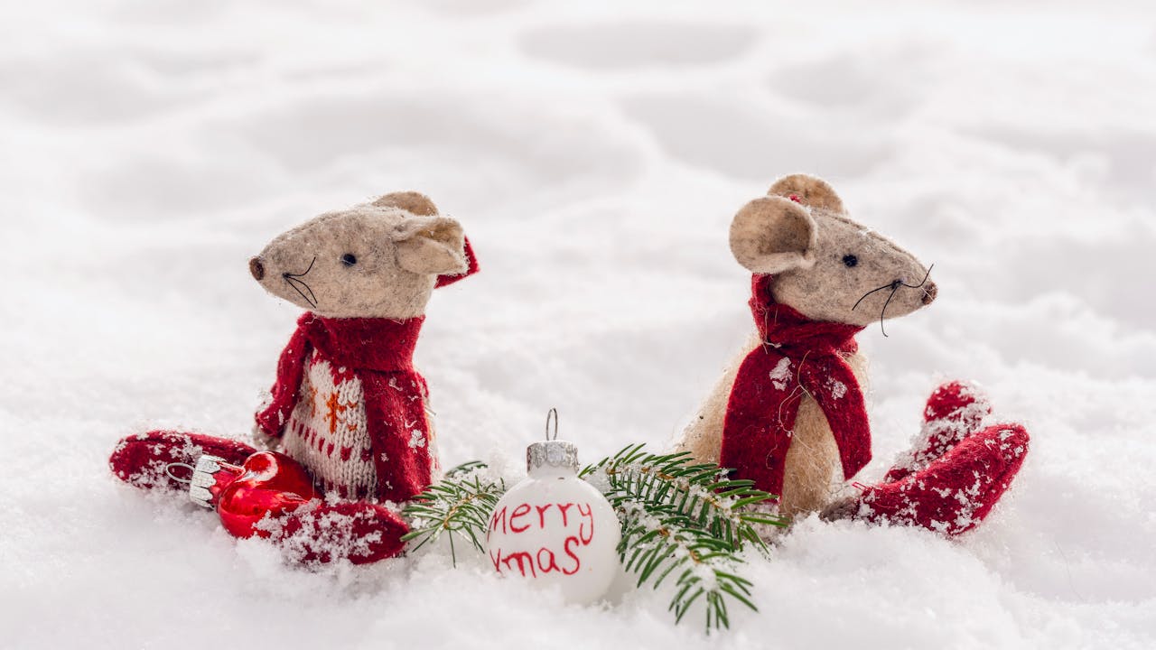 Giáng sinh, cặp đôi chuột, chuột giáng sinh, trang trí, dễ thương, tuyết, christmas, mouse couple, christmas mouse, decoration, cute, snow - Susanne Jutzeler, suju-foto