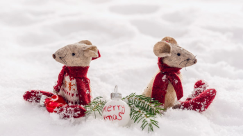 Giáng sinh, cặp đôi chuột, chuột giáng sinh, trang trí, dễ thương, tuyết, christmas, mouse couple, christmas mouse, decoration, cute, snow - Susanne Jutzeler, suju-foto