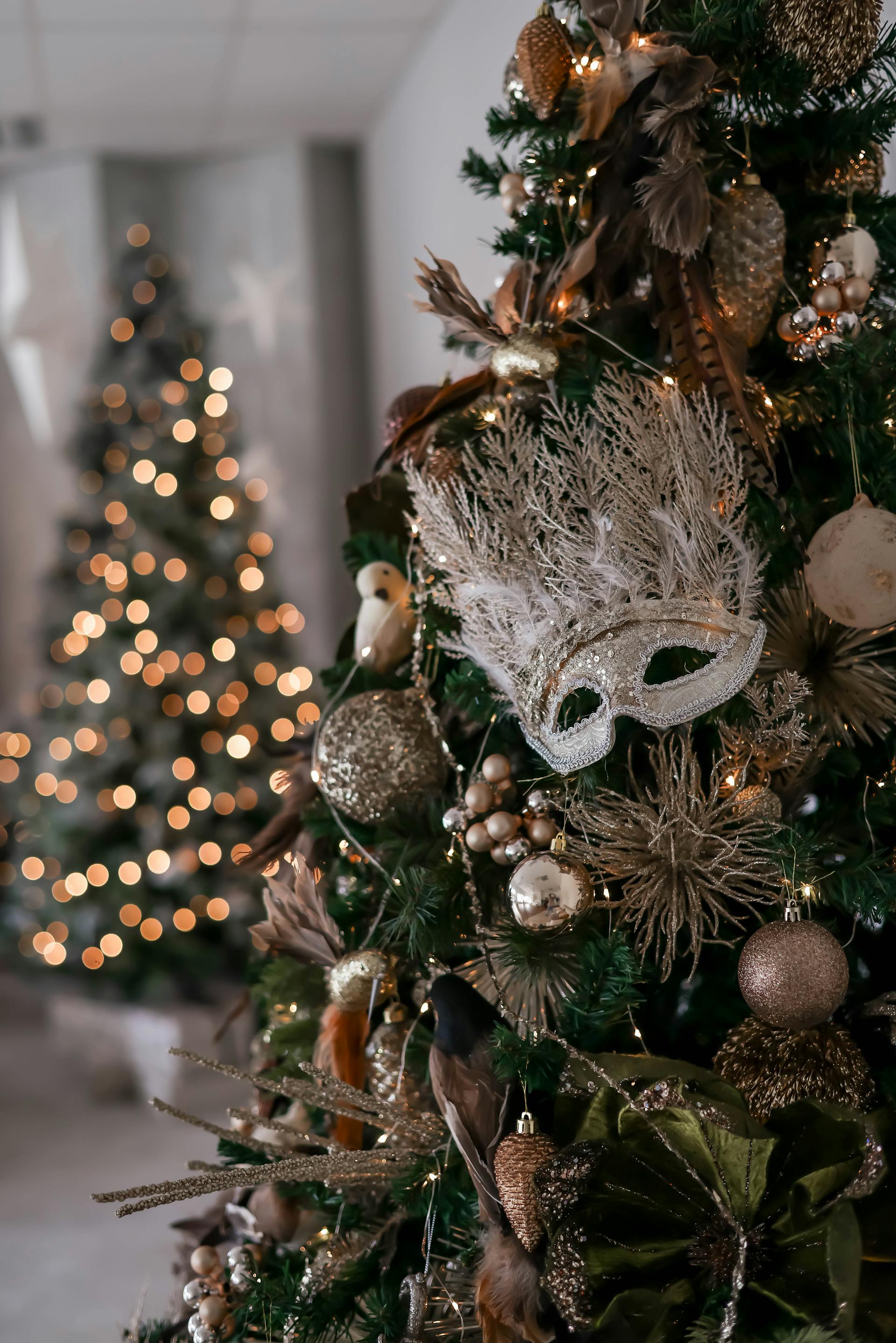Giáng sinh, quả châu, trái châu, cây thông, pine, xmas, christmas, noel, background, decor- Valeria Boltneva