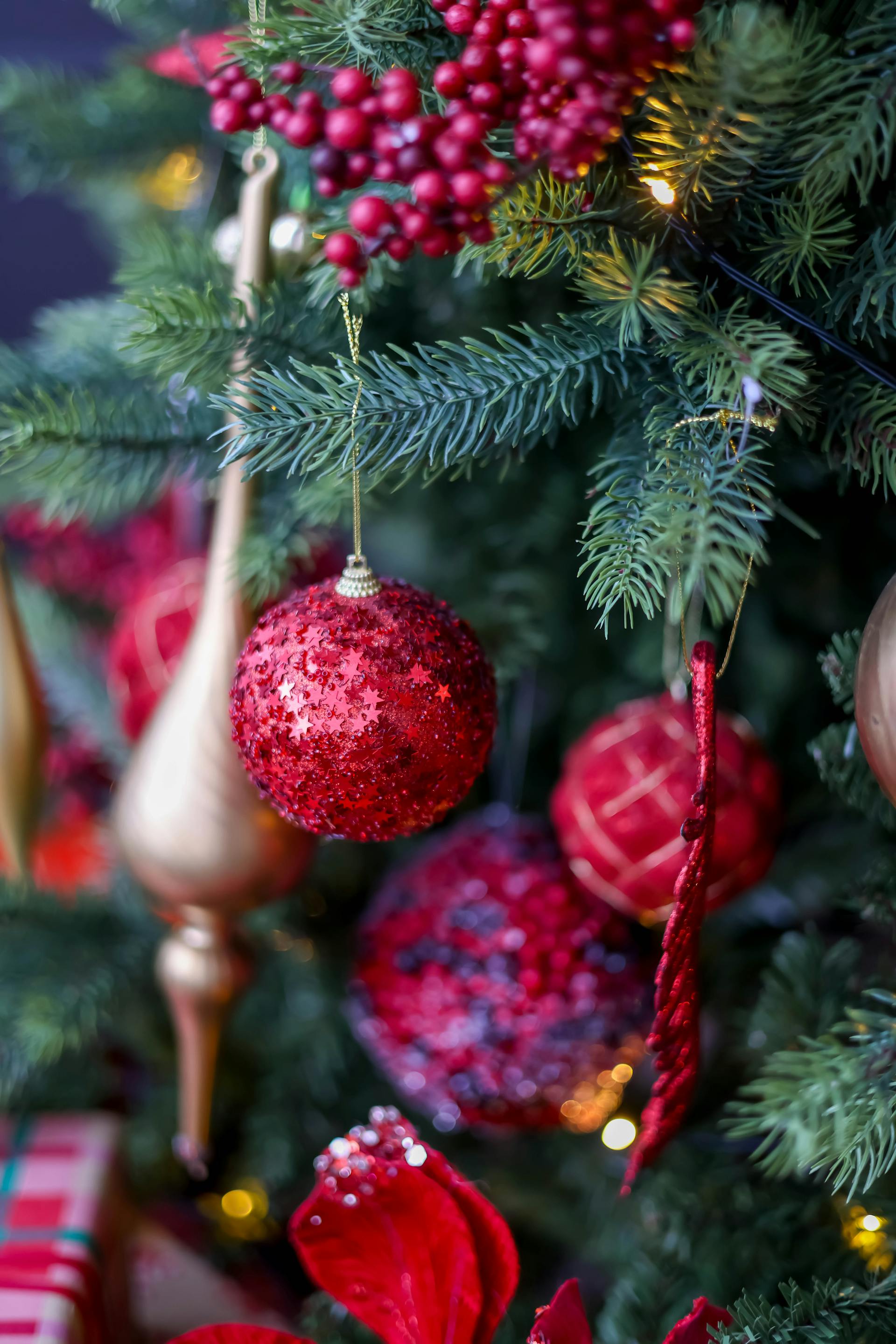 Giáng sinh, quả châu, trái châu, cây thông, hộp quà, gift, pine, xmas, christmas, noel, background, decor- Valeria Boltneva 3