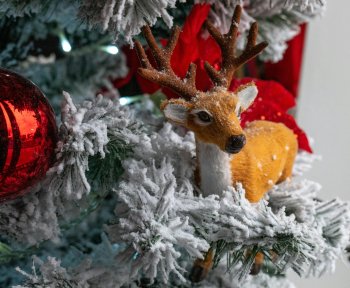 Trang trí, cây thông, giáng sinh, pine, decor, christmas, merry christmas, xmas -  Vladimir Srajber 2