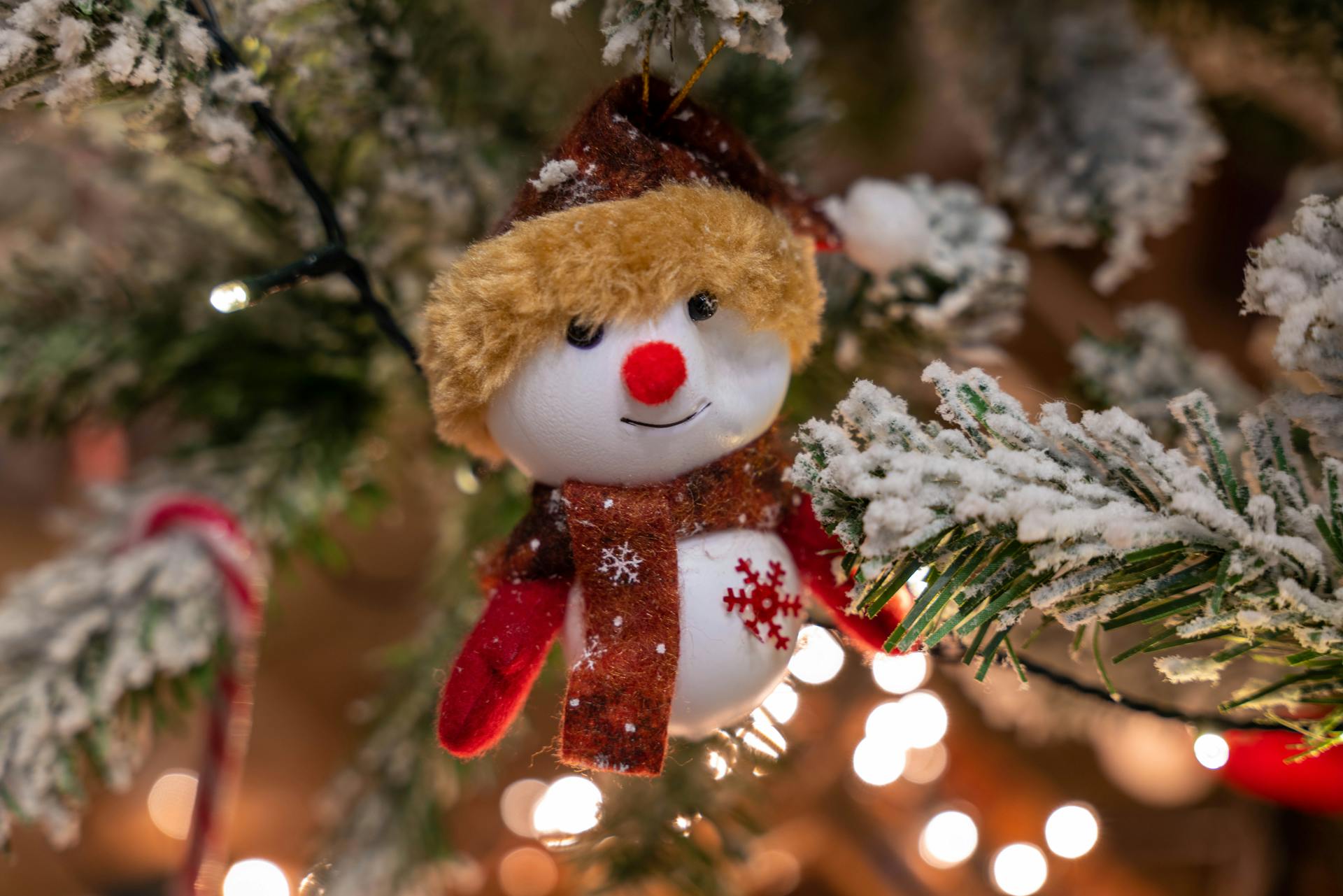 Trang trí, cây thông, giáng sinh, pine, decor, christmas, merry christmas, xmas -  Vladimir Srajber 5