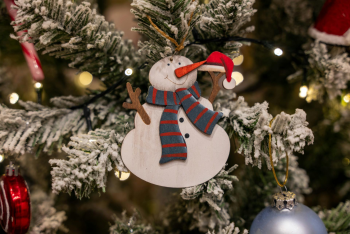 Trang trí, cây thông, giáng sinh, pine, decor, christmas, merry christmas, xmas -  Vladimir Srajber 3