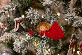 Trang trí, cây thông, giáng sinh, pine, decor, christmas, merry christmas, xmas -  Vladimir Srajber 8