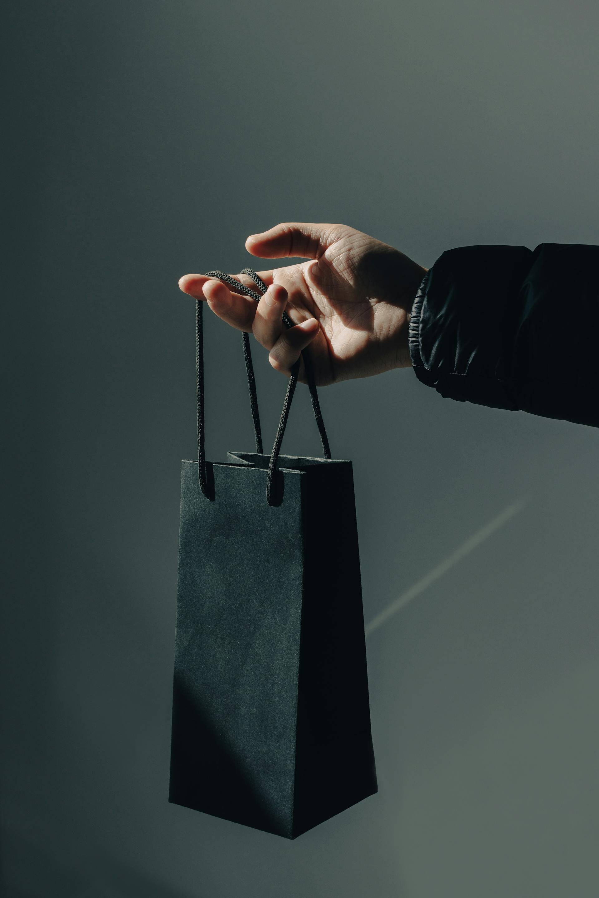 Túi giấy, tay, sale, mua sắm, paper bag, hand, shopping- SU JI 6