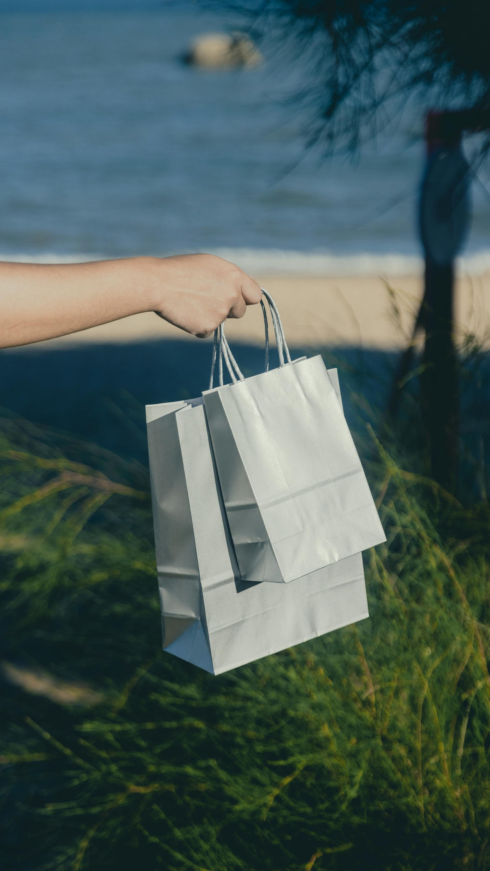 Túi giấy, tay, sale, mua sắm, paper bag, hand, shopping- SU JI 4