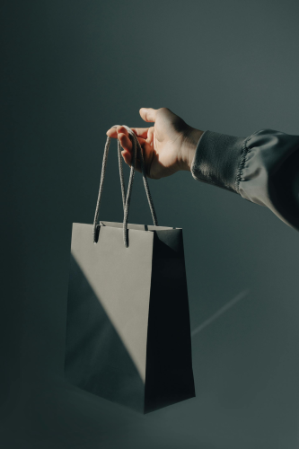 Túi giấy, tay, sale, mua sắm, paper bag, hand, shopping- SU JI 5