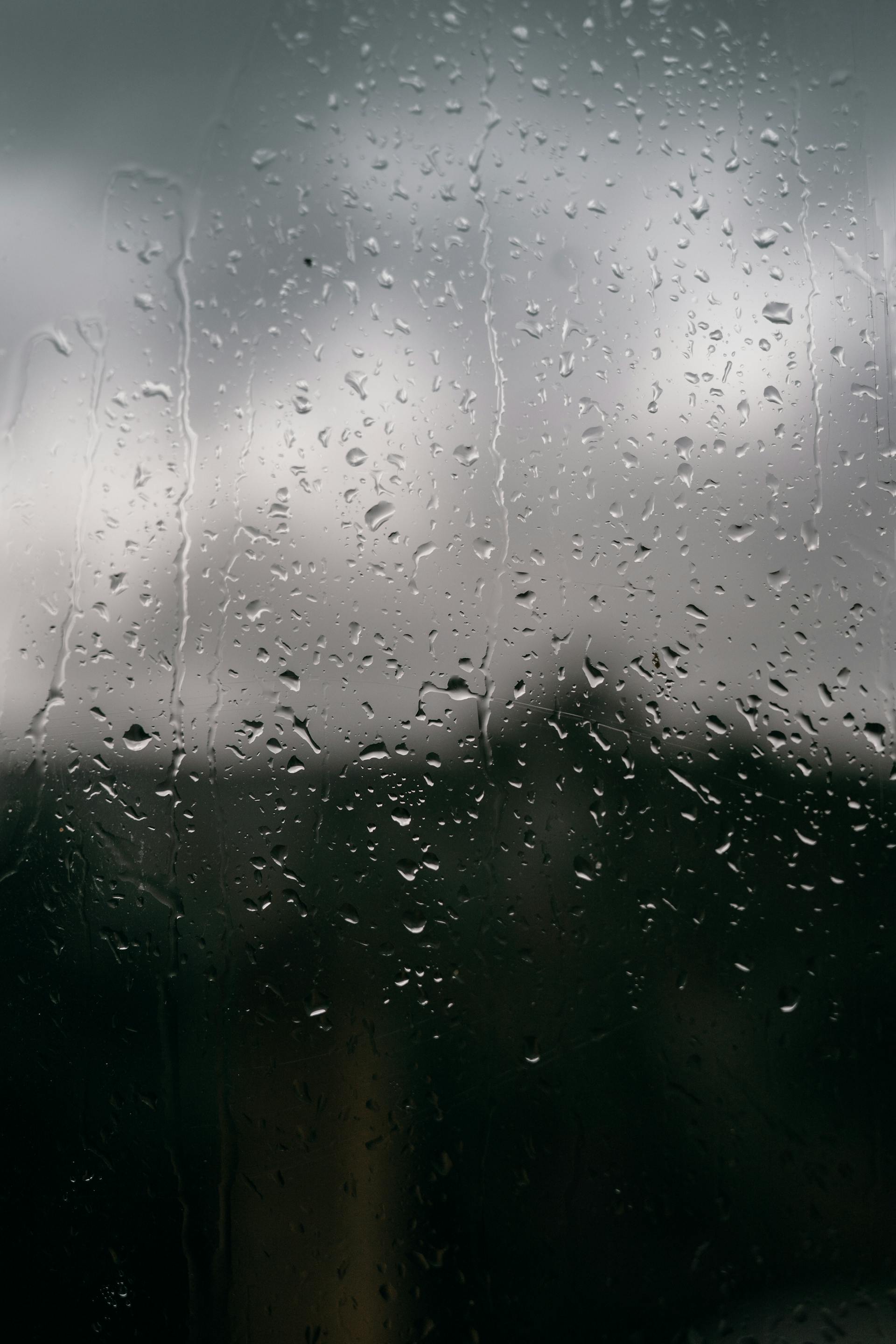 Mưa, hạt mưa, giọt nước, rain, raindrops, water drops - Taryn Elliott