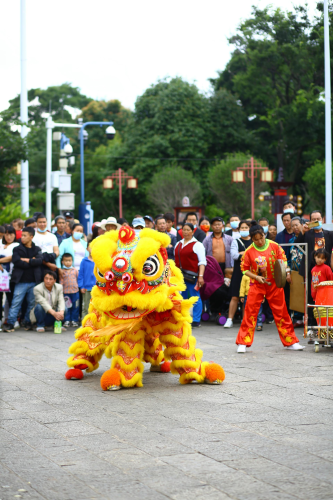 Lân, múa lân,  lion dance, tết, xuân, spring- Tuan Vy 3