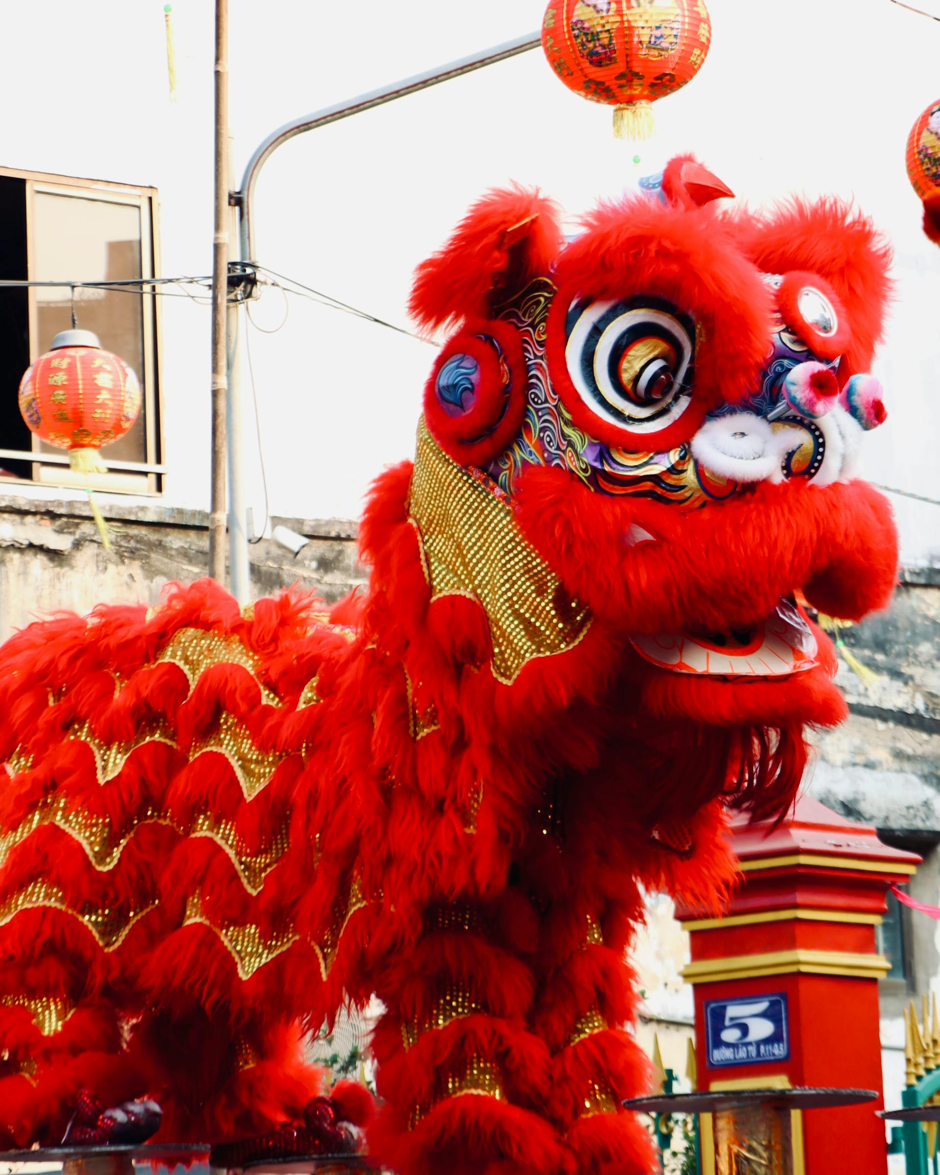 Lân, múa lân,  lion dance, tết, xuân, spring- Tuan Vy 7