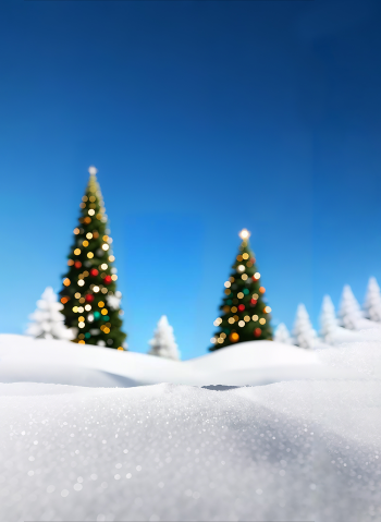 Tuyết, cây thông, giáng sinh, snow, pine trees, Christmas 1