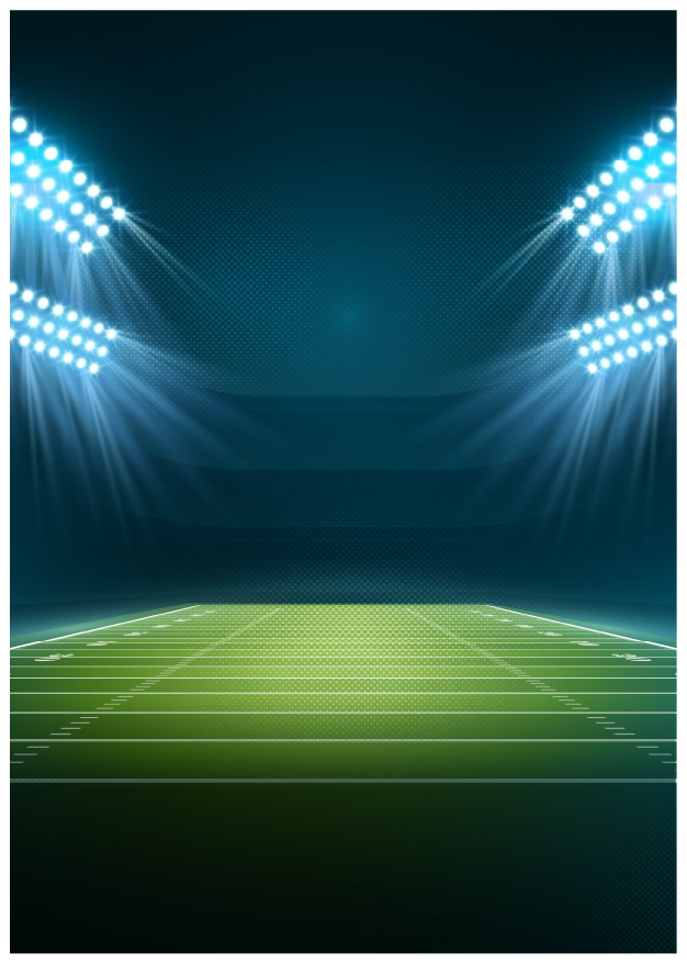 Sân cỏ, sân bóng, football, soccer, thể thao, sport, grass, stadium 6