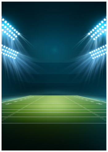 Sân cỏ, sân bóng, football, soccer, thể thao, sport, grass, stadium 6