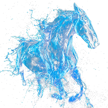 Ngựa, ánh sáng, nước, horses, light, water