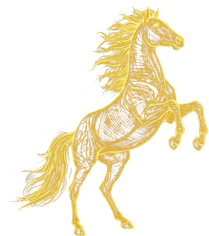 Ngựa, ánh sáng, vàng, horse, light, gold