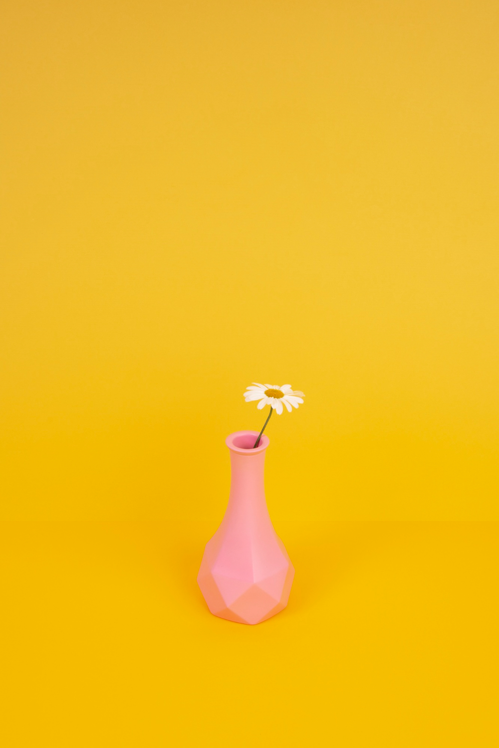 Bình hoa, hoa, đơn giản, hoa cúc họa mi, vase, flowers, simple, daisies