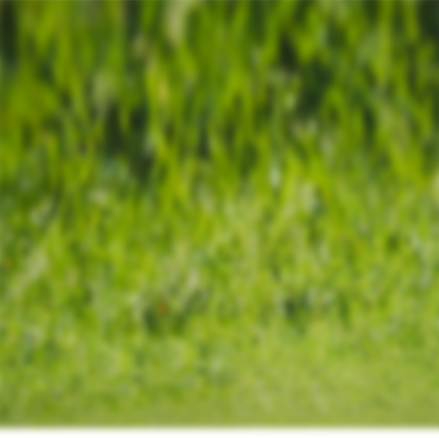 Sân cỏ, sân bóng, football, soccer, thể thao, sport, grass