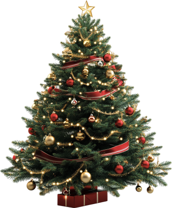 Cây thông, thông, pine, hộp quà, gift, giáng sinh, xmas, christmas, noel 3