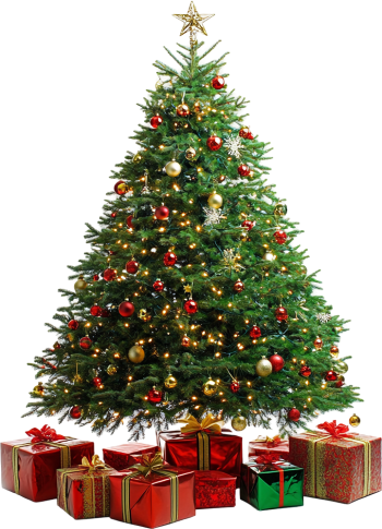 Cây thông, thông, pine, hộp quà, gift, giáng sinh, xmas, christmas, noel 1