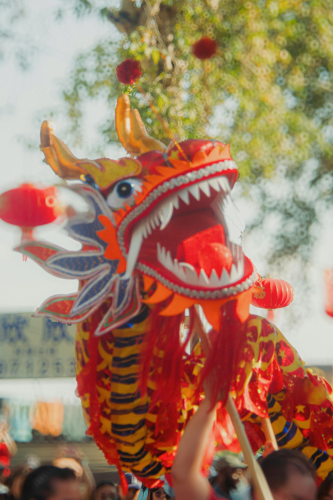 Múa rồng, rước rồng, lễ hội, festival, Tết, Tết holiday, văn hóa - HONG SON 8
