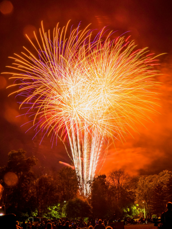 Pháo hoa, pháo, firework, tết, lễ hội, festival, hình nền, background - Rino Adamo 19