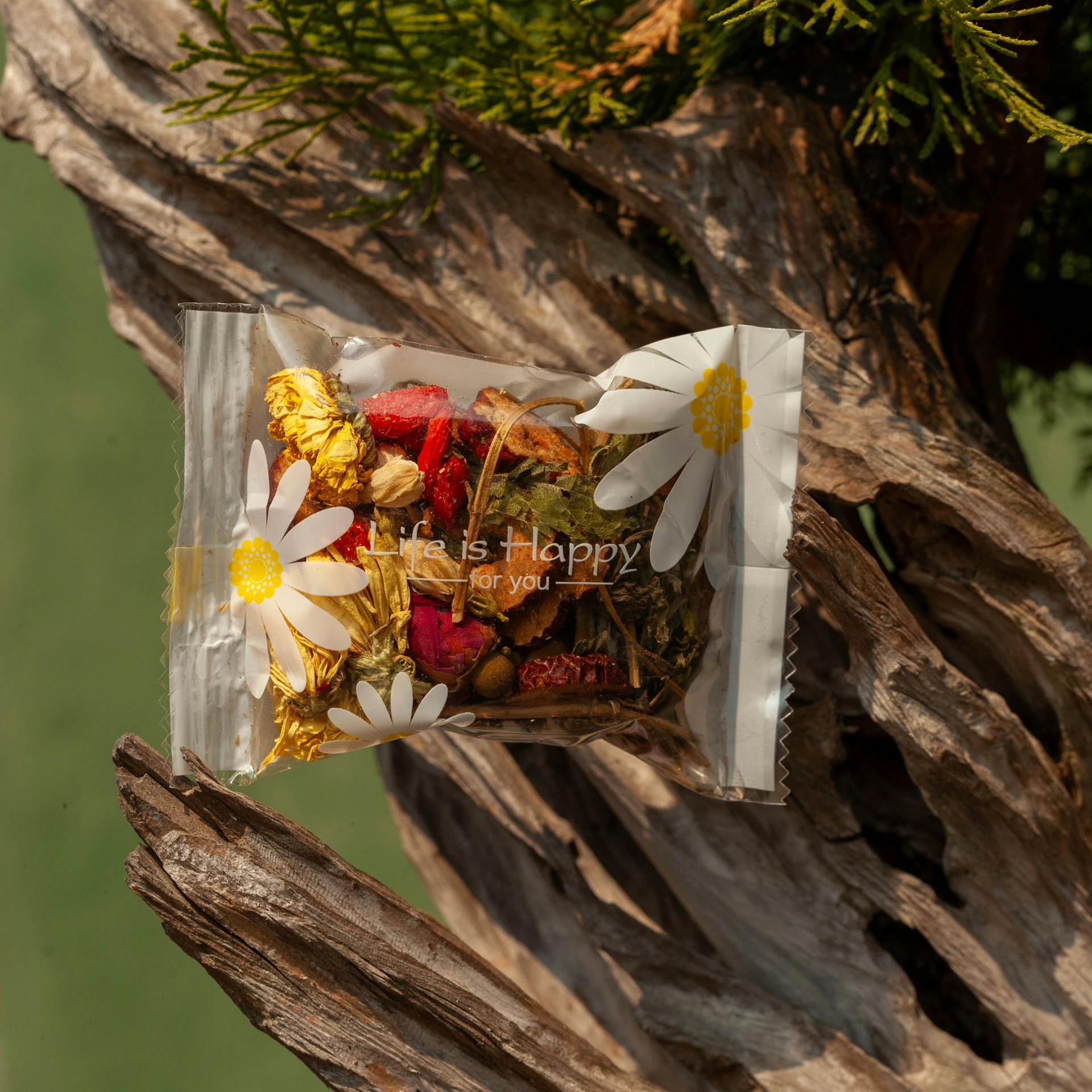 Trà, hoa khô, quả khô, sức khỏe, tea, dried flowers, dried fruits, health- Dang Hong 9