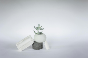 Chậu cây, xương rồng, sen đá, tĩnh vật, trang trí, potted plants, cacti, stone lotus, still life, decorations - KATRIN BOLOVTSOVA