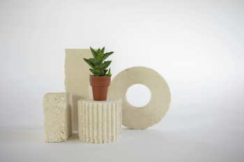 Chậu cây, xương rồng, sen đá, tĩnh vật, trang trí, potted plants, cacti, stone lotus, still life, decorations - KATRIN BOLOVTSOVA