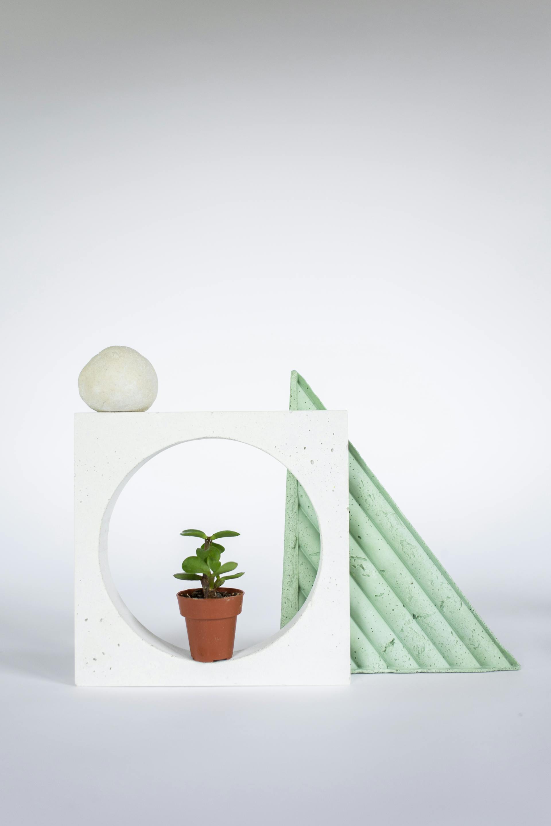 Chậu cây, xương rồng, sen đá, tĩnh vật, trang trí, potted plants, cacti, stone lotus, still life, decorations - KATRIN BOLOVTSOVA