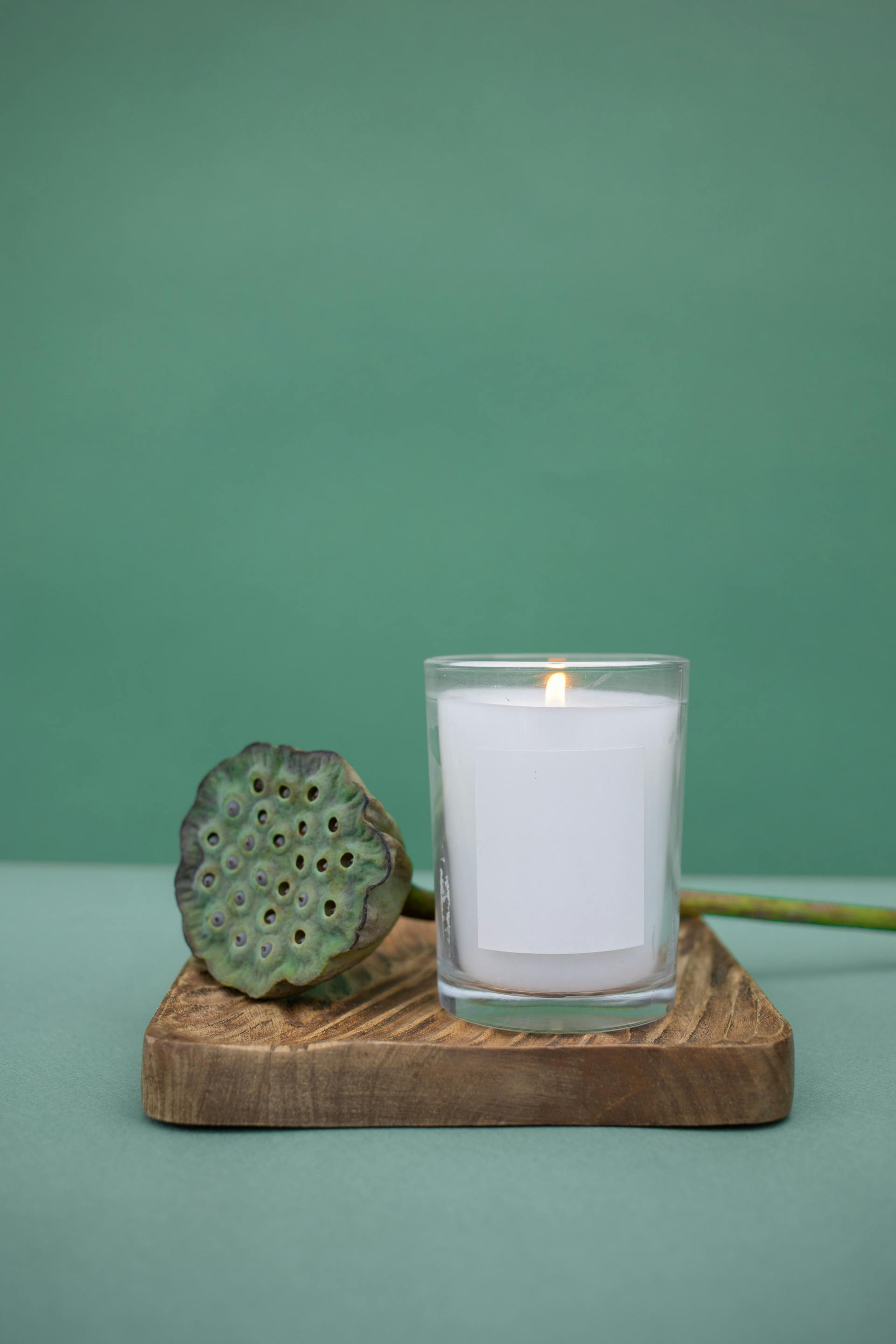 Chậu cây, nến, sen, tĩnh vật, trang trí, potted plants, candle, lotus, still life, decorations- KATRIN BOLOVTSOVA