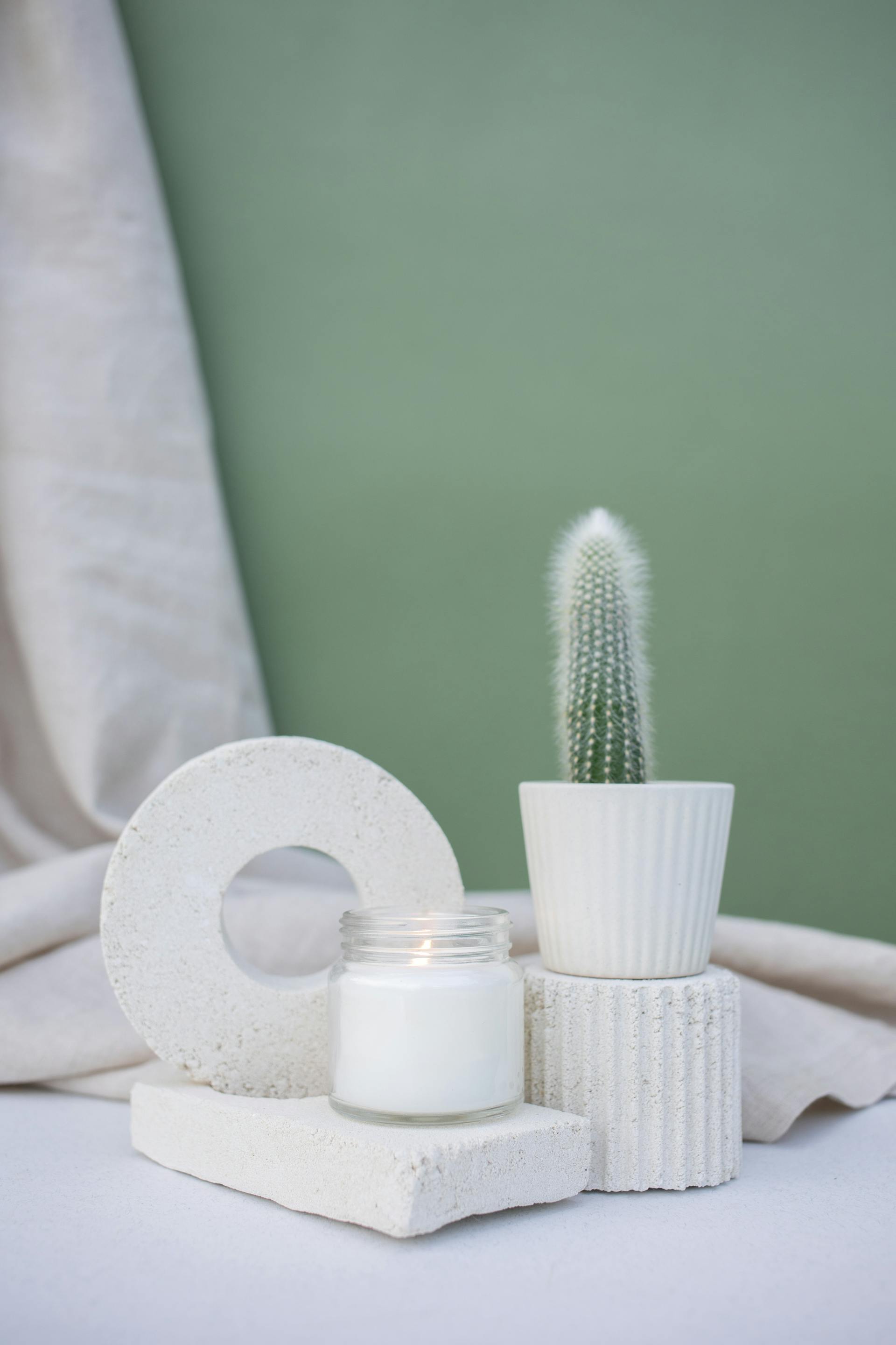 Chậu cây, nến, xương rồng, sen đá, tĩnh vật, trang trí, potted plants, candle, cacti, stone lotus, still life, decorations- KATRIN BOLOVTSOVA