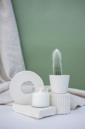 Chậu cây, nến, xương rồng, sen đá, tĩnh vật, trang trí, potted plants, candle, cacti, stone lotus, still life, decorations- KATRIN BOLOVTSOVA