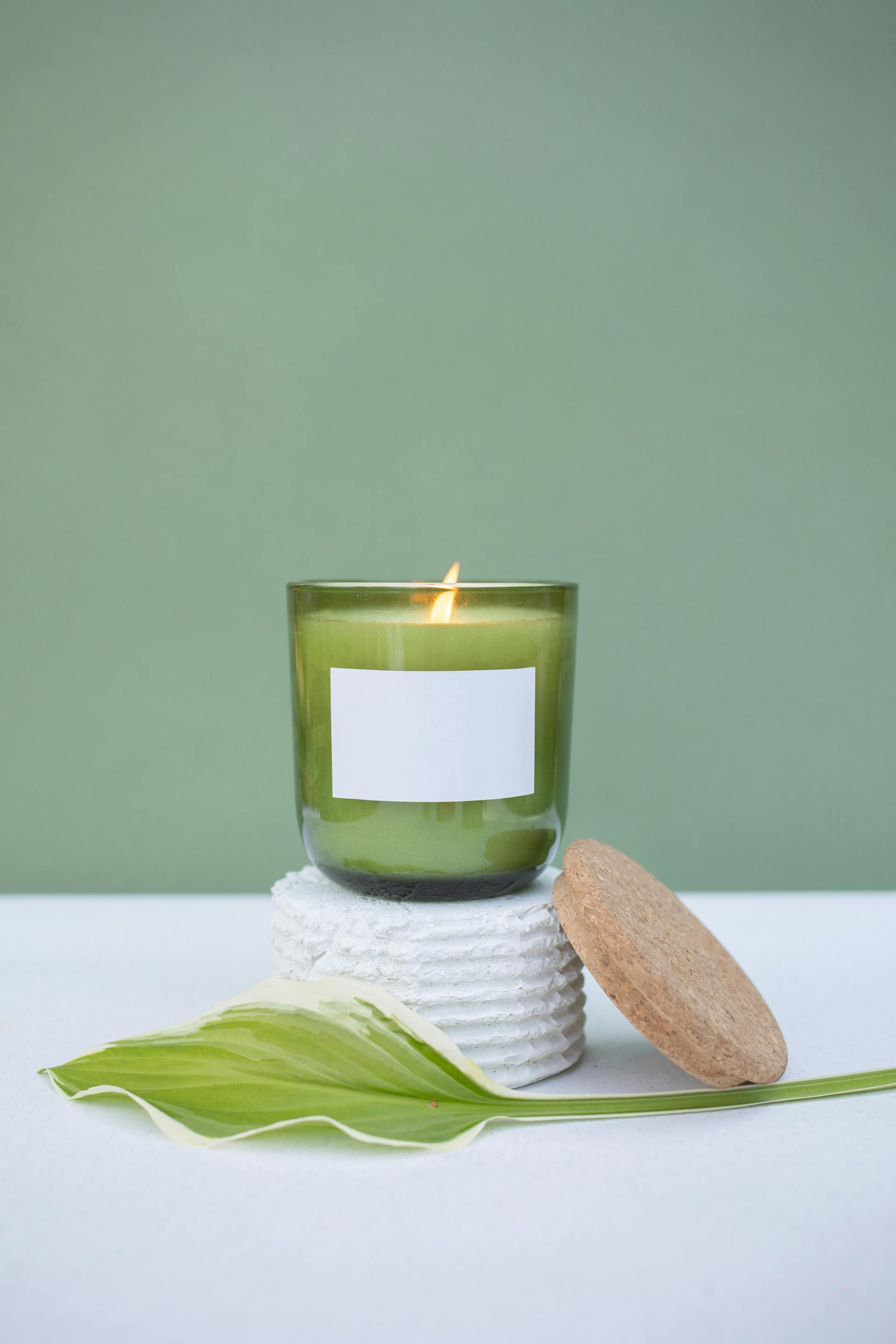 Chậu cây, nến, xương rồng, sen đá, tĩnh vật, trang trí, potted plants, candle, cacti, stone lotus, still life, decorations - KATRIN BOLOVTSOVA
