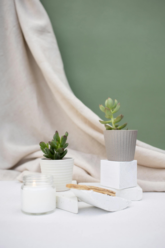 Chậu cây, nến, xương rồng, sen đá, tĩnh vật, trang trí, potted plants, candle, cacti, stone lotus, still life, decorations - KATRIN BOLOVTSOVA