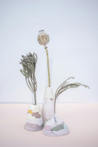 Chậu cây, xương rồng, sen đá, tĩnh vật, trang trí, potted plants, cacti, stone lotus, still life, decorations - KATRIN BOLOVTSOVA