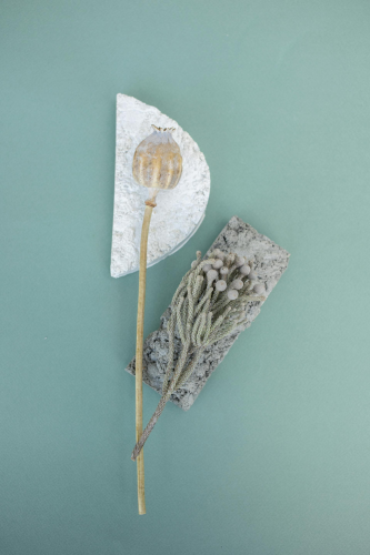 Chậu cây, xương rồng, sen đá, tĩnh vật, trang trí, potted plants, cacti, stone lotus, still life, decorations - KATRIN BOLOVTSOVA