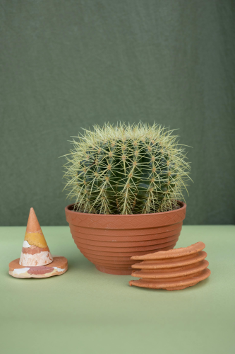 Chậu cây, xương rồng, sen đá, tĩnh vật, trang trí, potted plants, cacti, stone lotus, still life, decorations - KATRIN BOLOVTSOVA