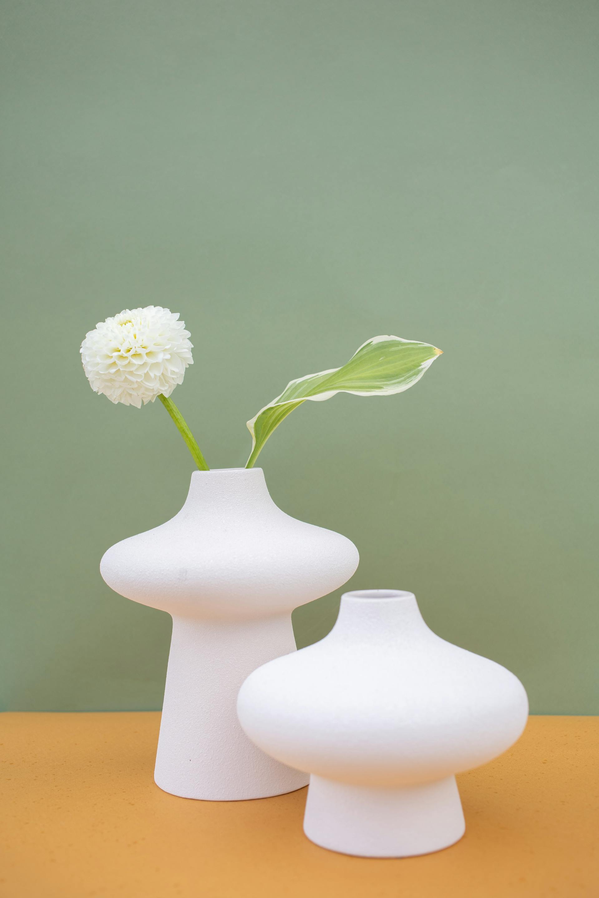 Chậu cây, hoa, tĩnh vật, trang trí, potted plants, flower, still life, decorations- KATRIN BOLOVTSOVA