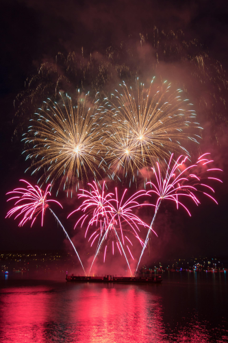 Pháo hoa, pháo, firework, tết, lễ hội, festival, hình nền, background - Rino Adamo 44