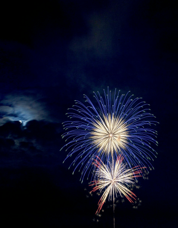 Pháo hoa, pháo, firework, tết, lễ hội, festival, hình nền, background - Rino Adamo 36