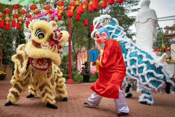 Múa lân, lễ hội, festival, Tết, Tết holiday, văn hóa - HONG SON 4