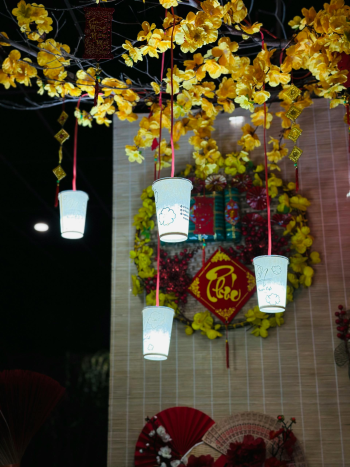 Lồng đèn, trang trí, Tết, hoa mai, decorations, apricot blossoms - Nhi Lâm