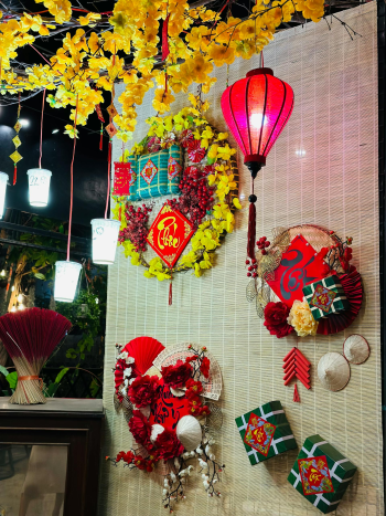 Lồng đèn, trang trí, Tết, hoa mai, decorations, apricot blossoms - Nhi Lâm 1