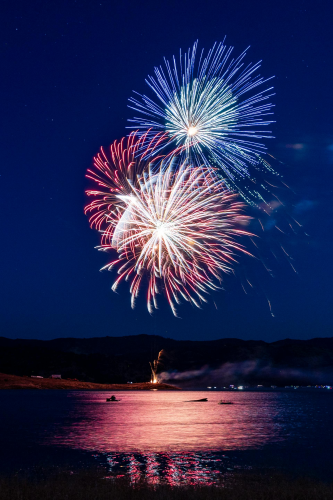 Pháo hoa, pháo, firework, tết, lễ hội, festival, hình nền, background - Rino Adamo 55