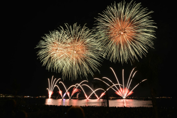 Pháo hoa, pháo, firework, tết, lễ hội, festival, hình nền, background - Rino Adamo 17