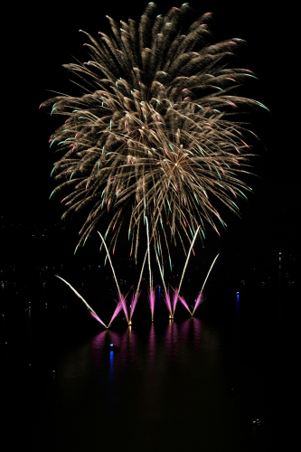 Pháo hoa, pháo, firework, tết, lễ hội, festival, hình nền, background - Rino Adamo 14