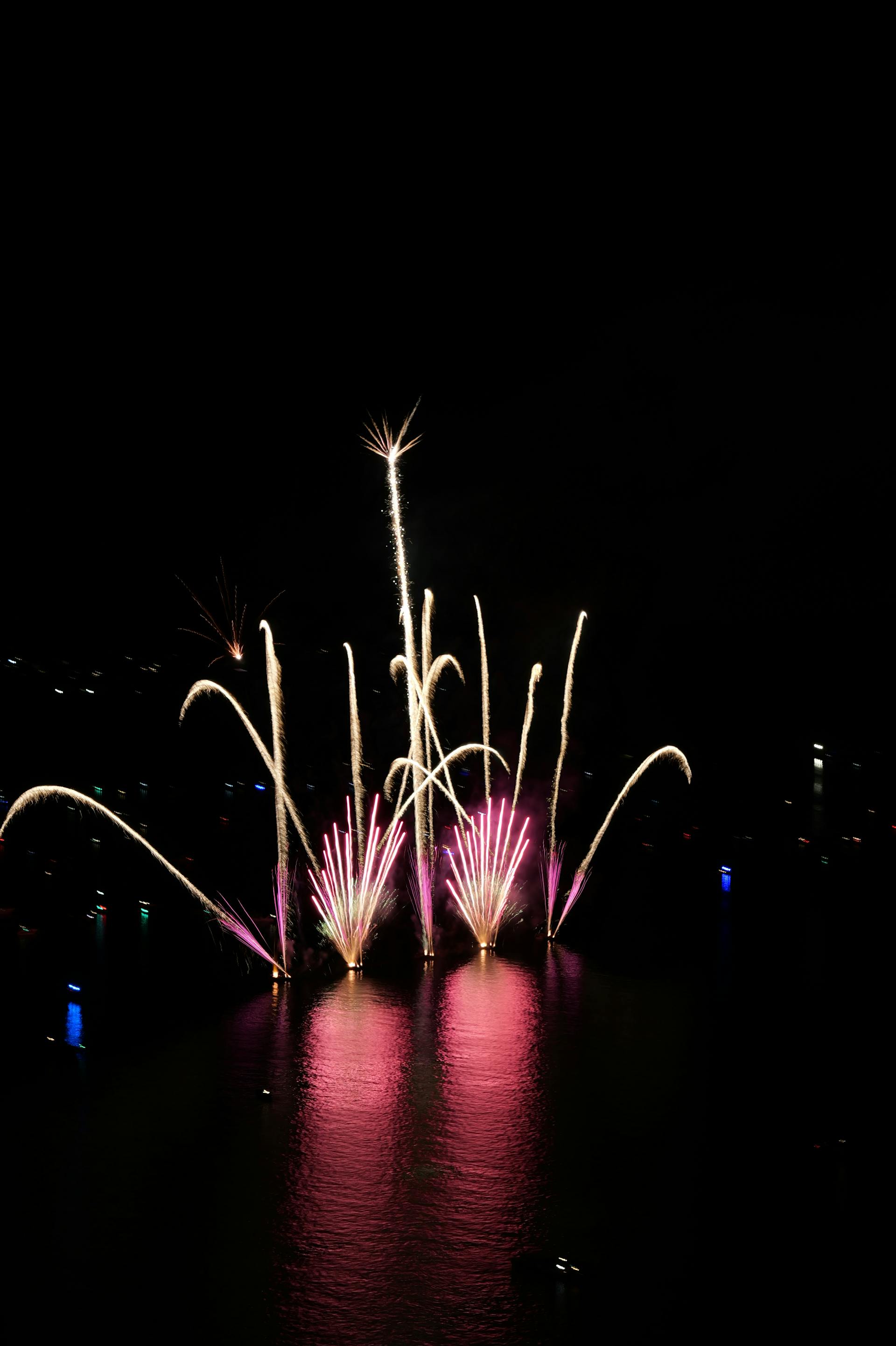 Pháo hoa, pháo, firework, tết, lễ hội, festival, hình nền, background - Rino Adamo 8