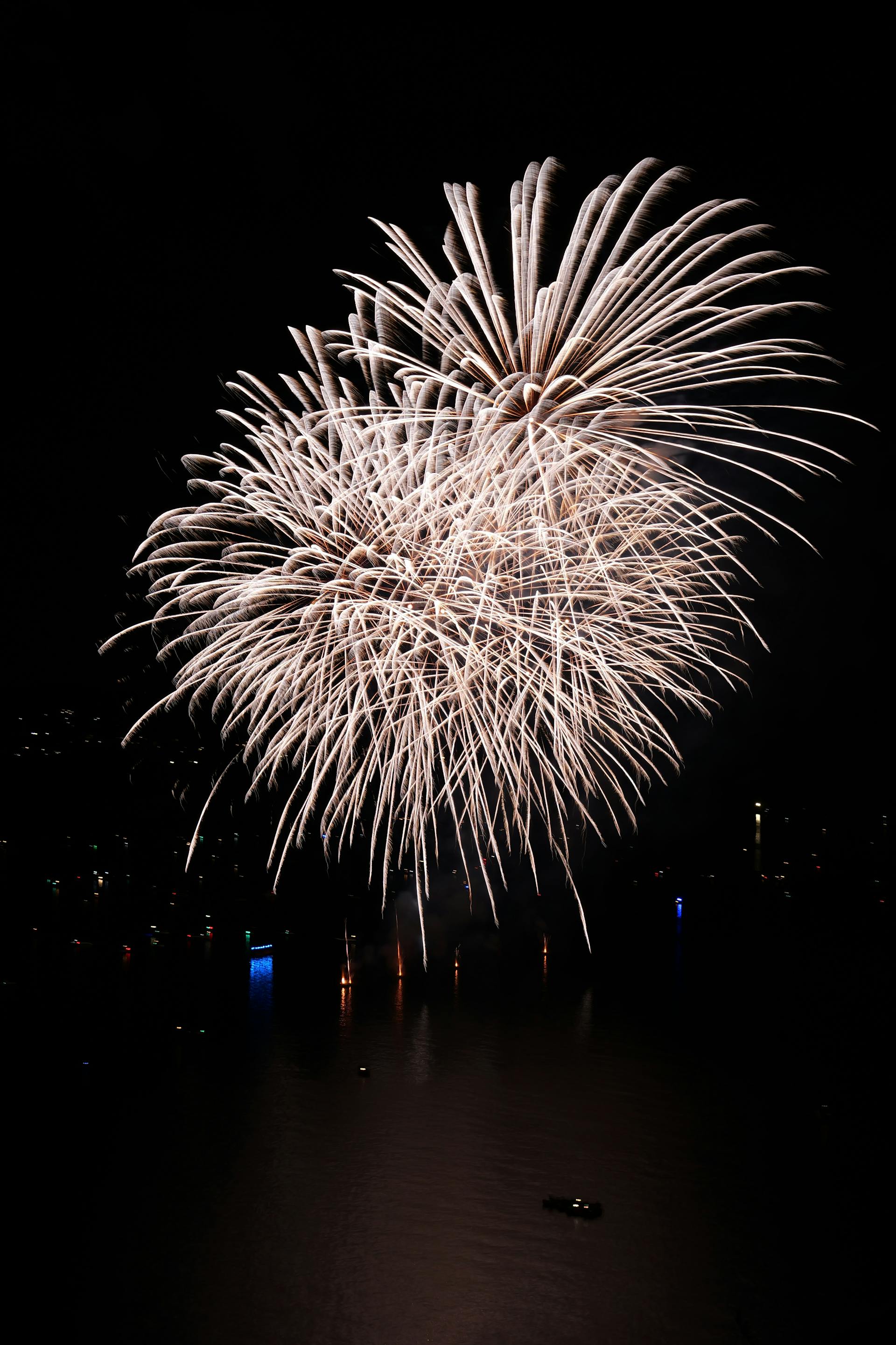 Pháo hoa, pháo, firework, tết, lễ hội, festival, hình nền, background - Rino Adamo 11